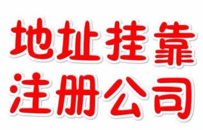 代理記賬一年800元，記賬會(huì)計(jì)代理